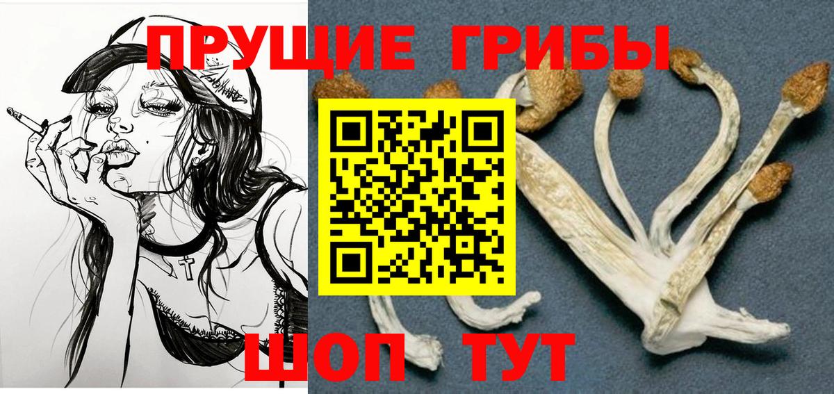 Галлюциногенные грибы Magic Shrooms  Галлюциногенные грибы Psilocybe  Вход с VPN  Михайловка 